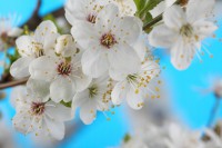 Přijímat neznamená souhlasit ani rezignovat